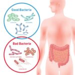 Gut Flora_iStock-610130114S