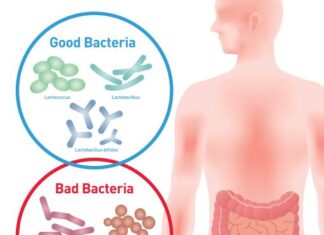 The Human Microbiomes are the foundation of The Posture Balance!