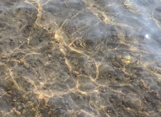 「100%健康で幸せな人生」が普通です。