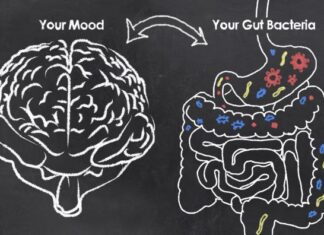 Gut-Brain Axis & Well-Balanced Posture