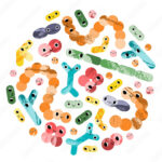 microbiome