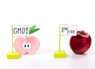 Well-Balanced Posture and GAPS Diet