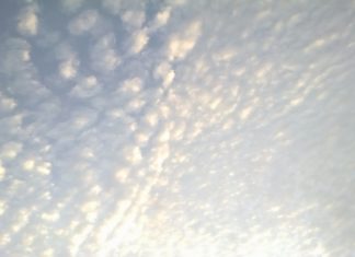 「ありがとう」を伝える姿勢