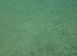 Emerging From Autism 1. – Believe In You & Your Child