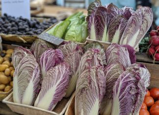 GAPS治療のための推奨食品