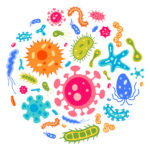 Vector collection of flat virus and microbe illustrations in circle. Bacterium icon set. Colourful cartoon amoebas and bacillus. Beautiful collection of microorganisms. Petri dish concept.