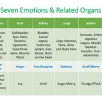 7 Emotions Organds 081023