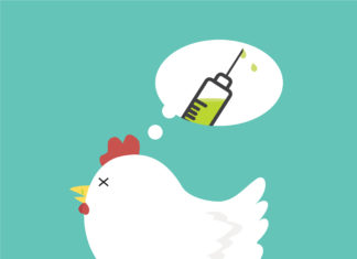 食糧難と埼玉県での鳥インフルエンザ問題