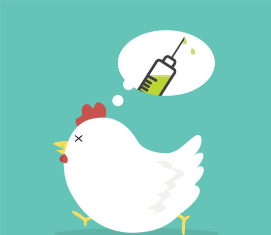 食糧難と埼玉県での鳥インフルエンザ問題