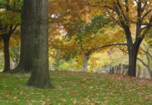 I believe in GOD. This is My Posture.