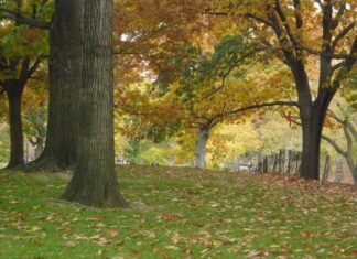 I believe in GOD. This is My Posture.