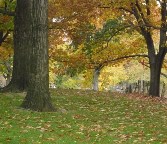 I believe in GOD. This is My Posture.